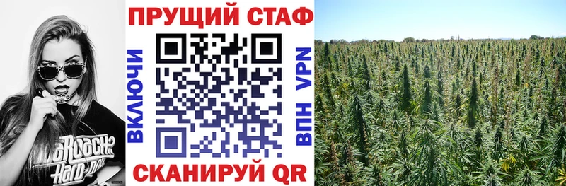 Продажа наркотиков Нестеров A PVP  MDMA  Меф мяу мяу  Марихуана  COCAIN 