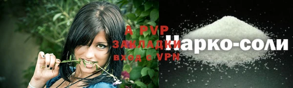 apvp Алексин