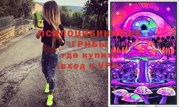 стаф Алексеевка