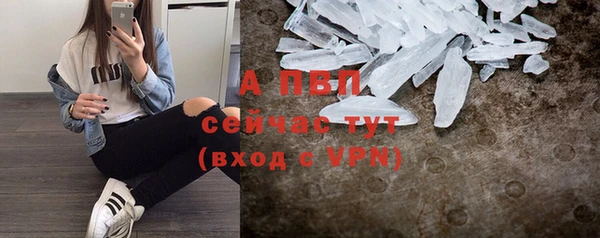 apvp Алексин