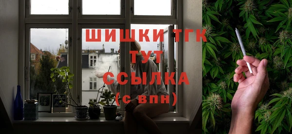 apvp Алексин